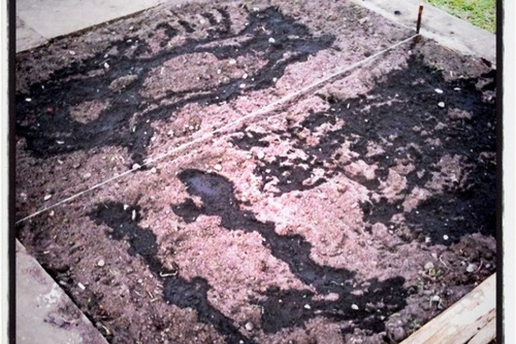 Onions, Carrots &amp; Beetroot