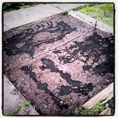 Onions, Carrots & Beetroot